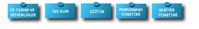 İnsan Kaynakları Yönetimi